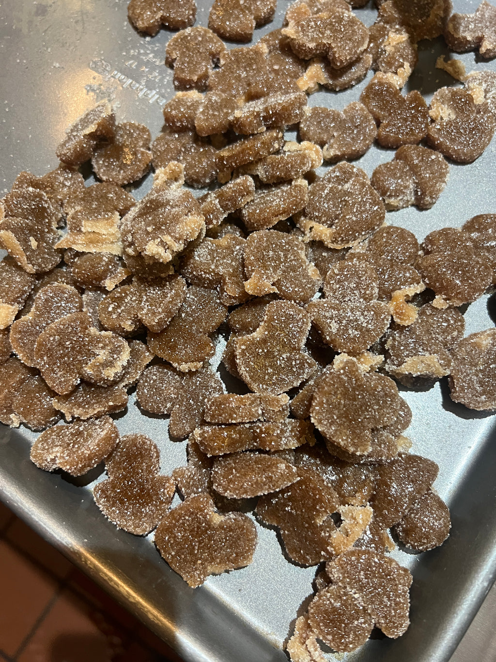 Mango Sugar-Free - Mind Focus Gummy - High PotencY Lion's Mane Extract for the Brain - Subscription